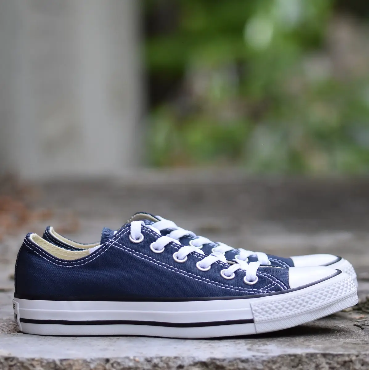 Converse Chuck Taylor All Star 36