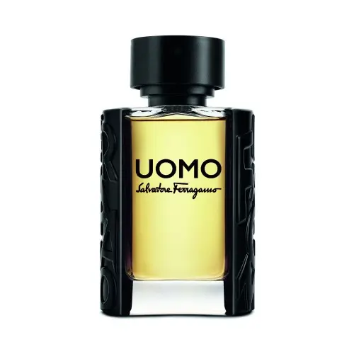 Ferragamo Uomo - EDT 100 ml