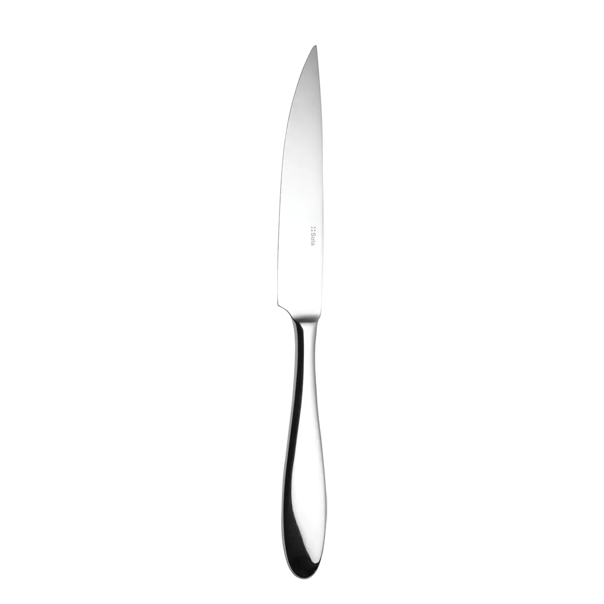 Steakový nůž s dutou rukojetí 24,5 cm - Turin - 103784