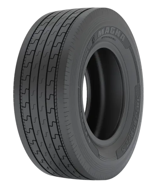 Magna 385/65R22,5 164K RG31