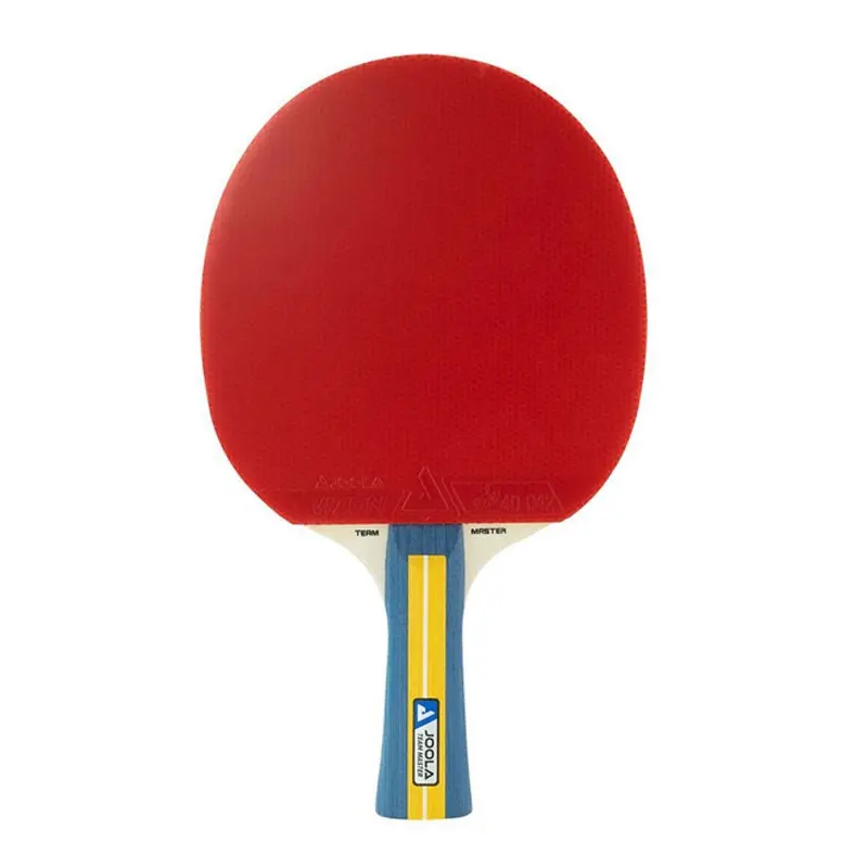 Pálka na stolní tenis JOOLA Team Master
