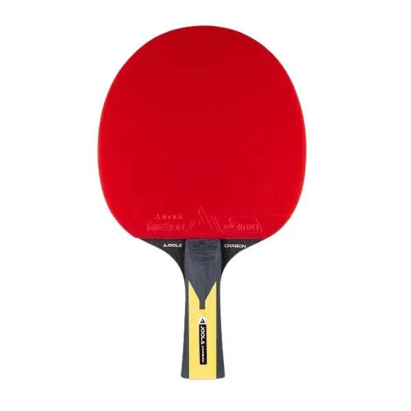 Pálka na stolní tenis JOOLA Carbon Pro