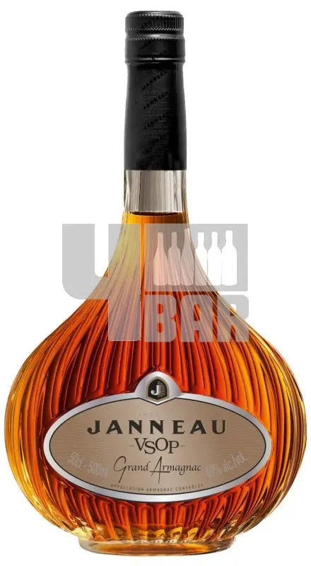 Janneau VSOP 40% 0,7 l (karton)