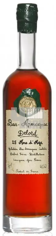 Armagnac-Delord 20 Ans d'age 20y 40% 0,7 l (kazeta)