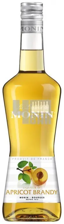 MONIN APRICOT BRANDY 0,7l (holá láhev)