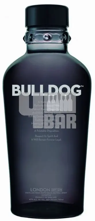 Bulldog Gin 40% 1 l (holá láhev)