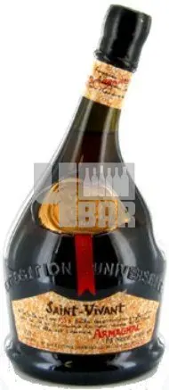 Saint Vivant XXX Armagnac 40% 0,7 l (karton)