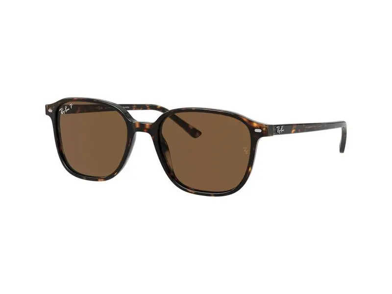 Ray-Ban Leonard RB2193 902/57 53