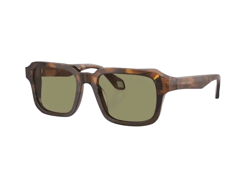 Giorgio Armani AR8194U 598814