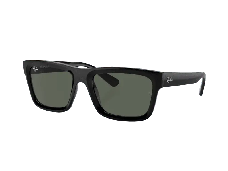 Ray-Ban Warren RB4396 667771