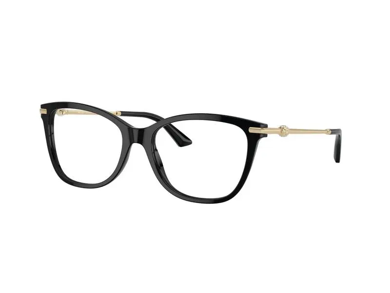 Jimmy Choo JC3007HB 5000