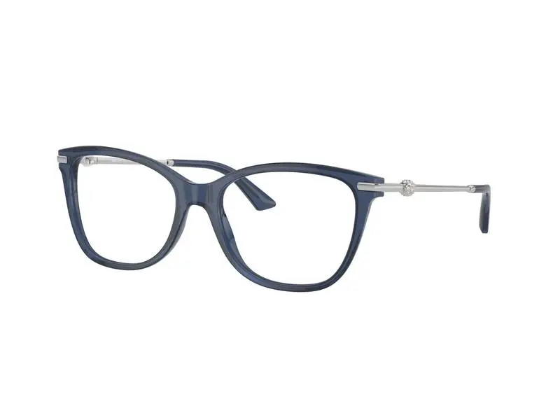 Jimmy Choo JC3007HB 5035