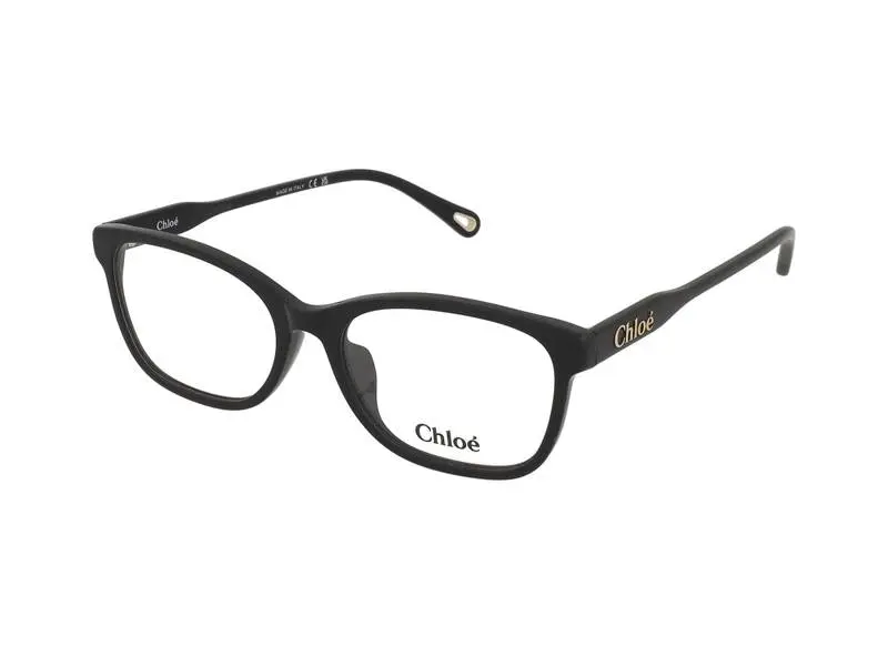 Chloe CH0276OA 001 - ONE SIZE (54)
