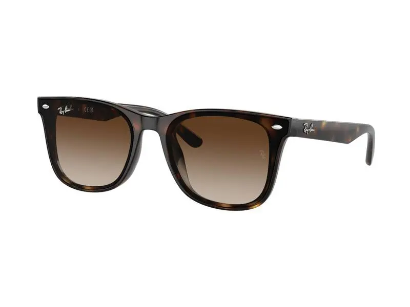 Ray-Ban RB4420 710/13 - ONE SIZE (65)