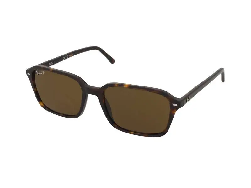 Ray-Ban Raimond RB2231 902/57
