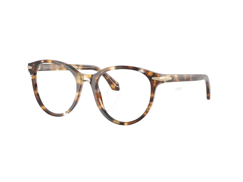 Giorgio Armani AR7279 6232