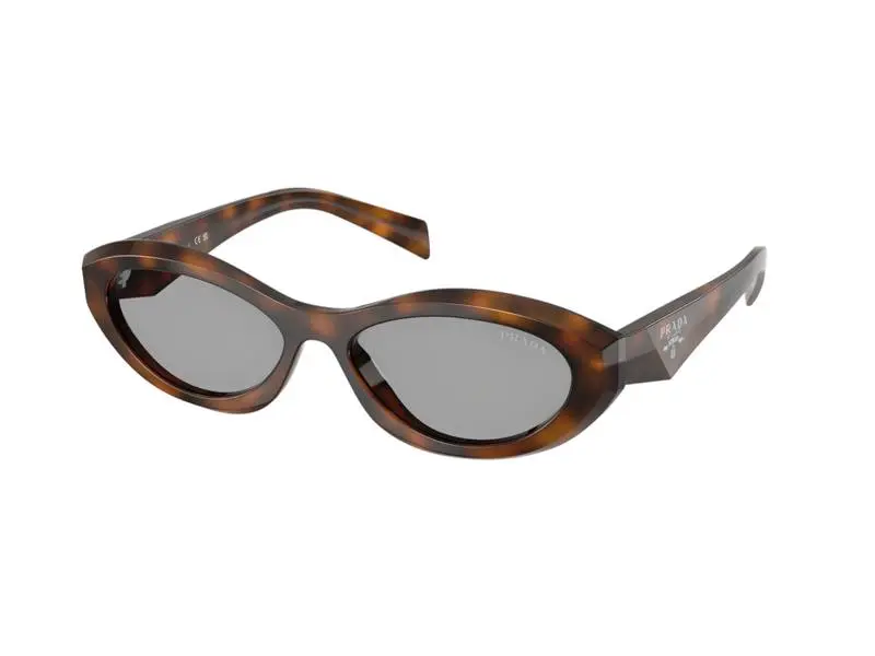 Prada PR26ZS 20D50Q - ONE SIZE (55)