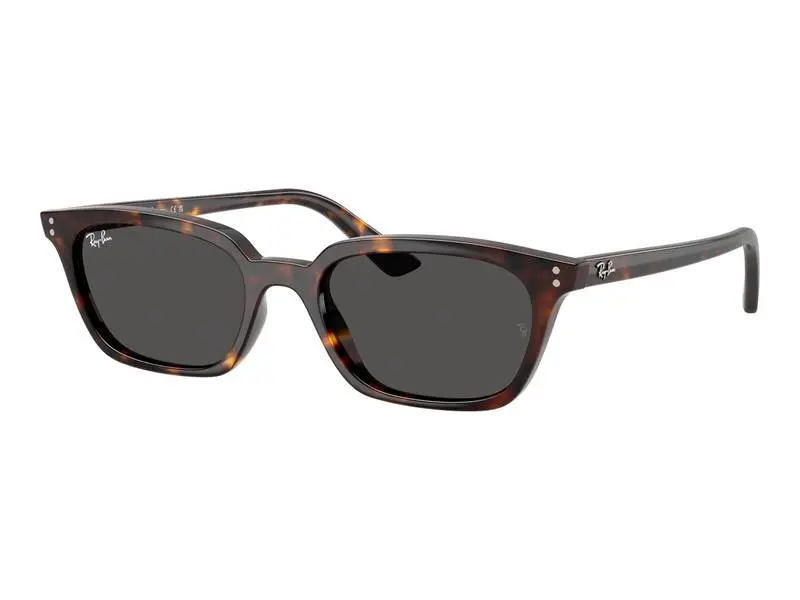 Ray-Ban Zaya RB4456 135987