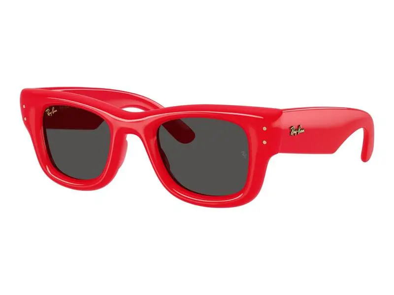 Ray-Ban x A$AP Rocky RB4940 683187