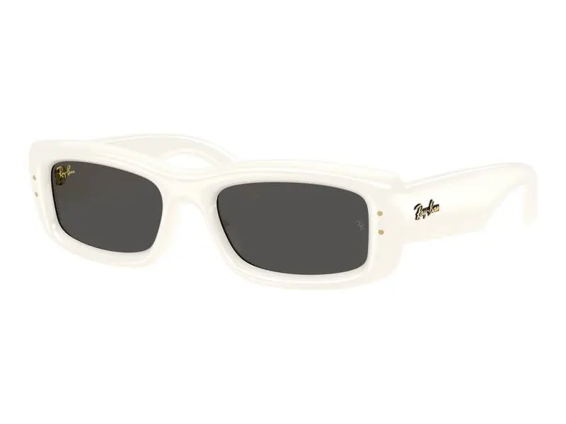Ray-Ban x A$AP Rocky RB4944 687487