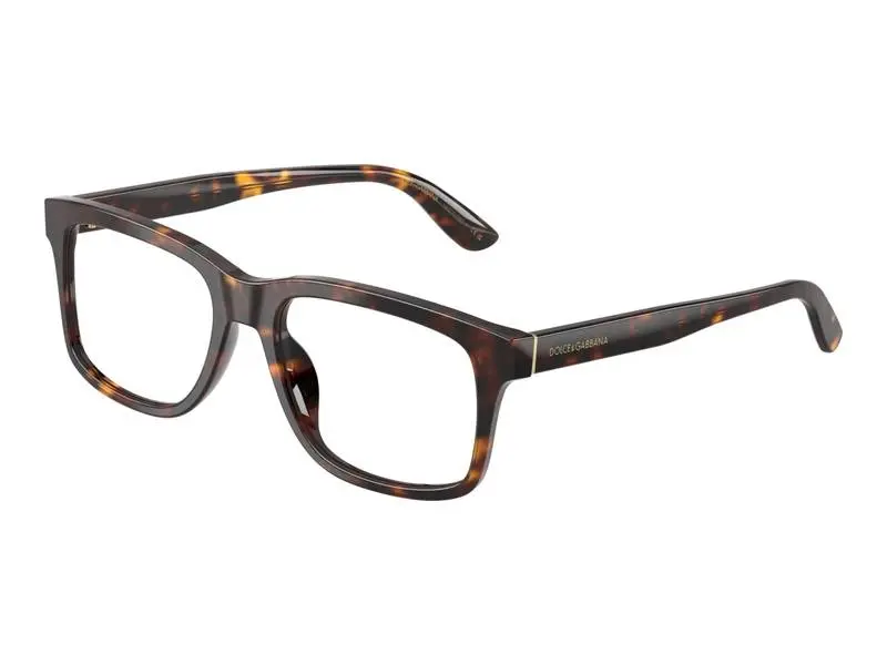 Dolce & Gabbana DG3453 502