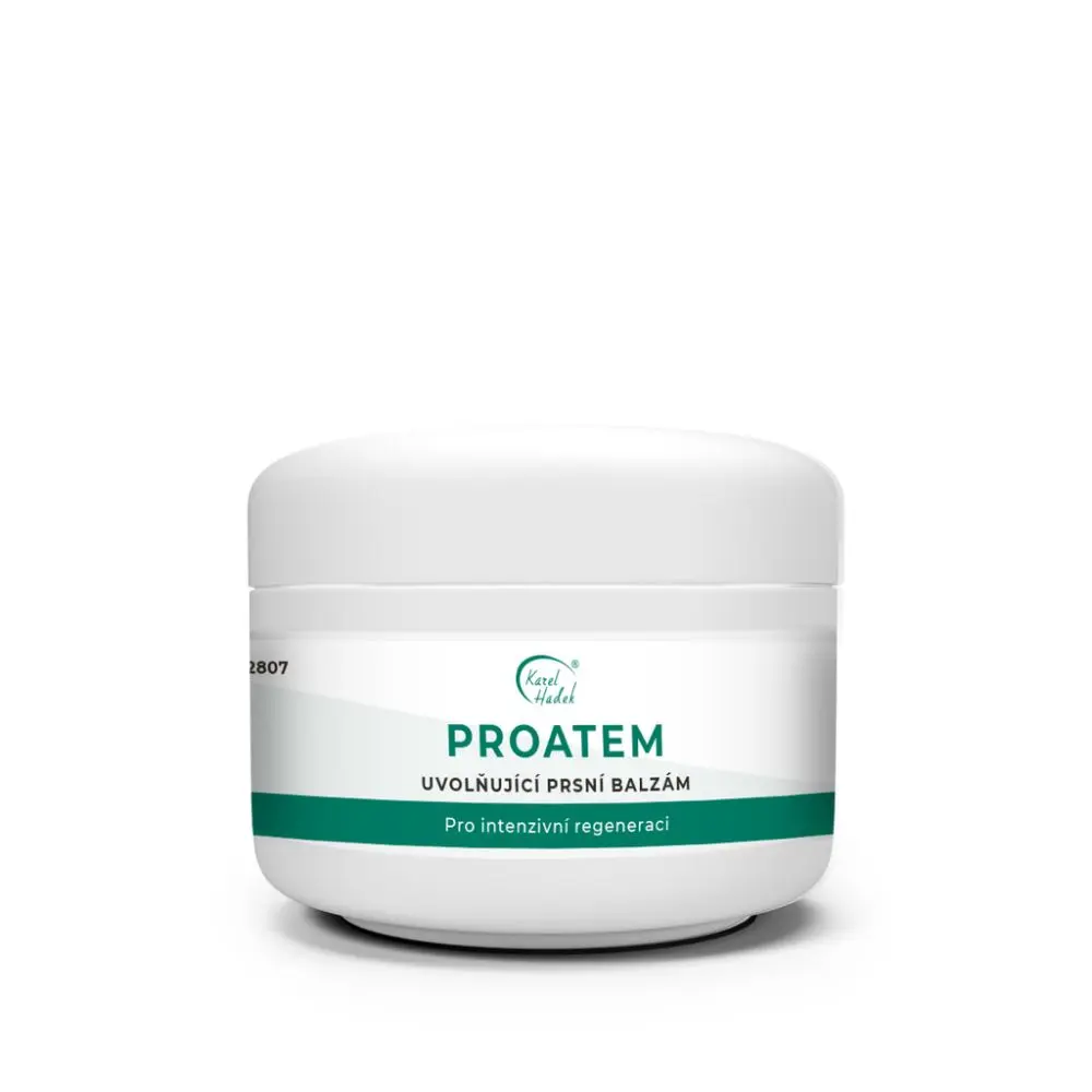 Hadek Proatem