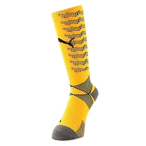 Puma Team ftblNXT Socks
