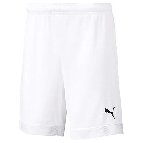 Puma cup kids