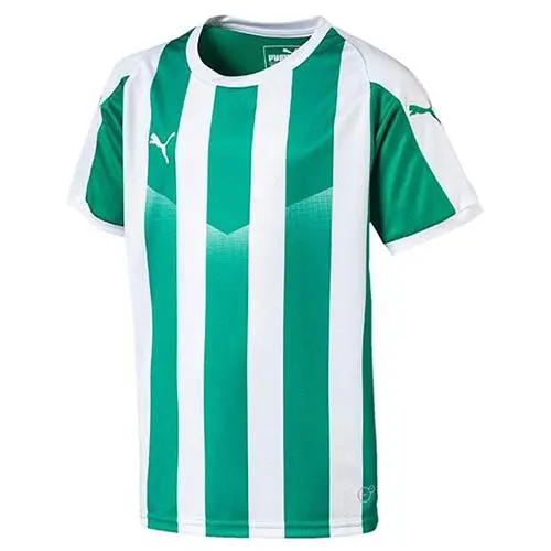 Puma Liga Striped kids f15 703425-015