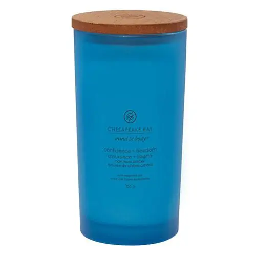 Vonná svíčka CHESAPEAKE BAY CANDLE Confidence & Freedom 355g
