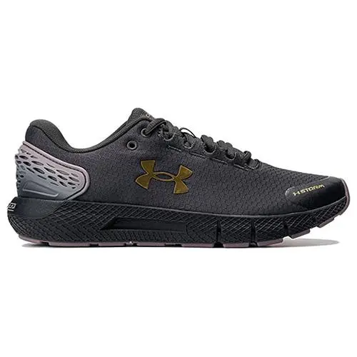 Dámské boty Under Armour UA W Charged Rogue 2 Storm