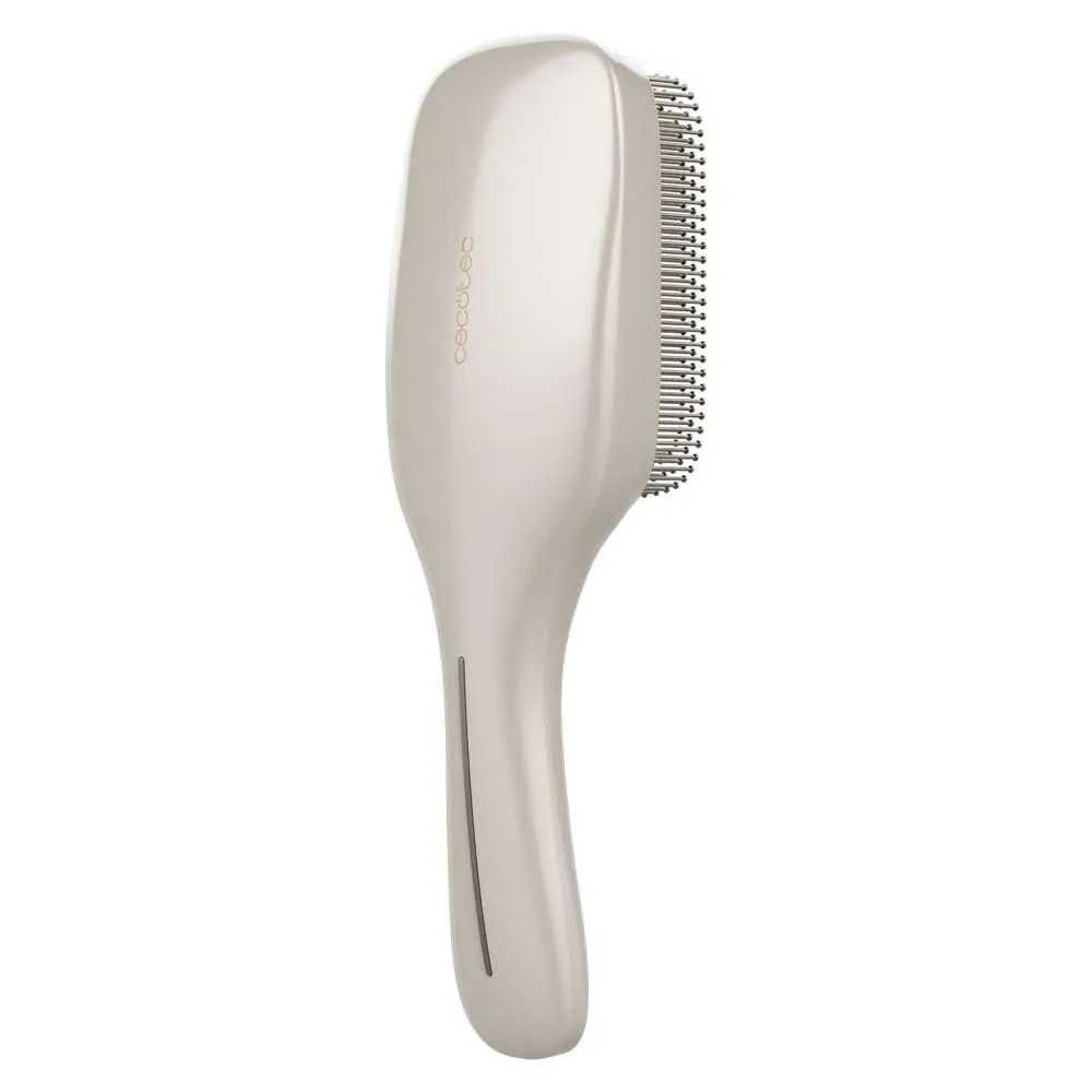 Cecotec HairCare 100152 stříbrný