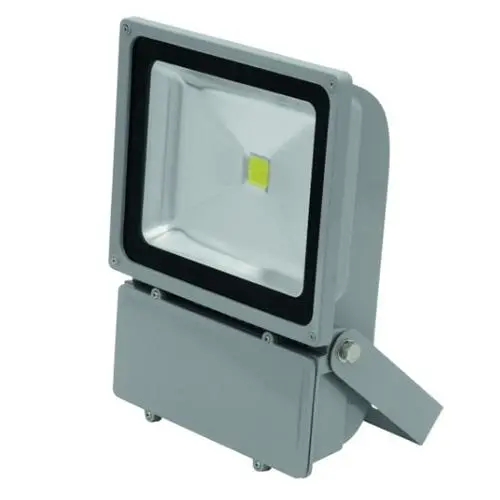 Eurolite Reflektor LED IP FL-100 COB 6400K 120°