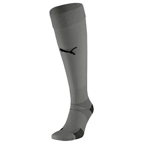 Puma teamFINAL 21 Socks