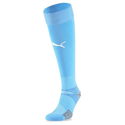 Puma teamFINAL 21 Socks