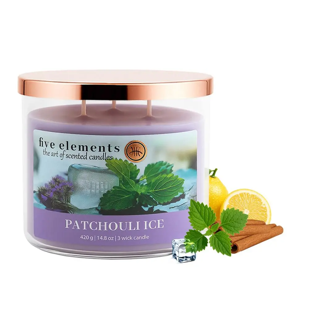 Five Elements Patchouli Ice 420 g