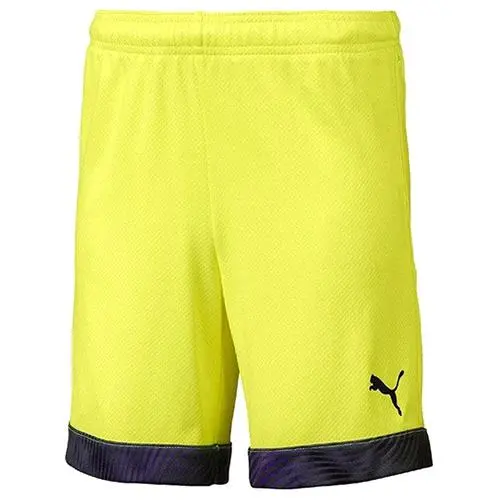 Puma cup
