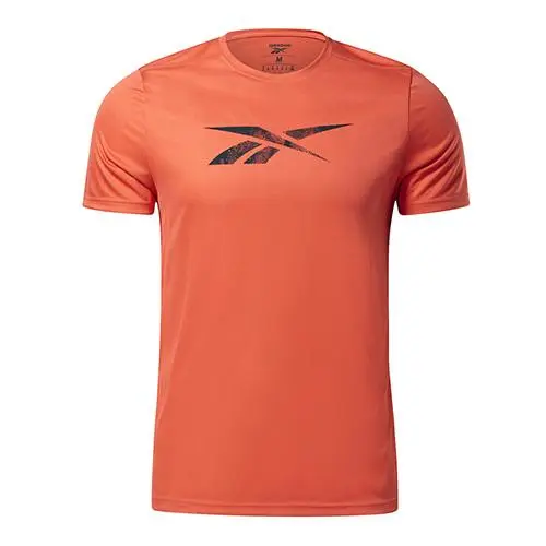 Reebok pánské triko Workout Ready Poly Graphic Workout Ready Poly Graphic 3413232