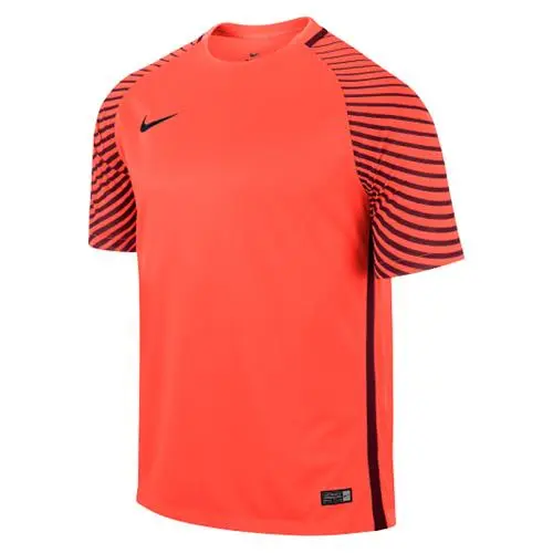 Nike Brankářský dres Gardien 725889 671