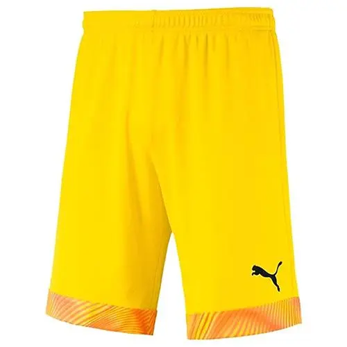 Puma cup