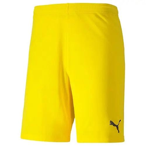 Puma teamGOAL 23 knit