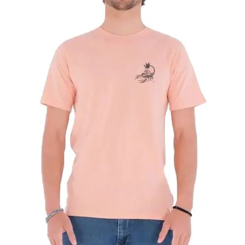 Hurley Evd Wash Poison Palapas Everyday Washed Poison + Palapas