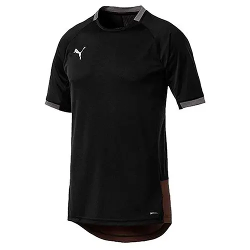 Puma pánské sportovní triko ftblNXT Pro
