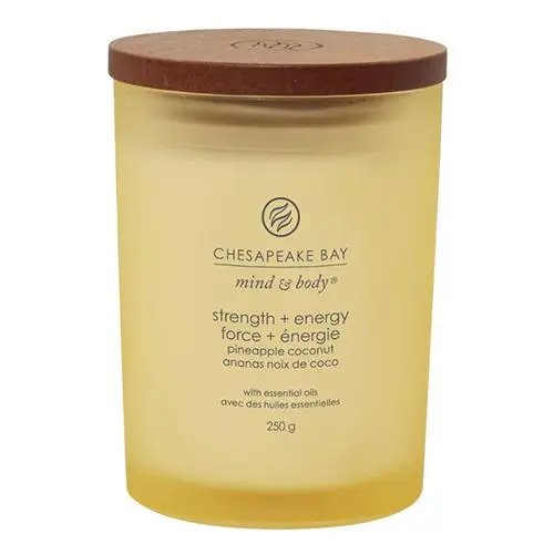 Vonná svíčka CHESAPEAKE BAY CANDLE Strength & Energy 250g