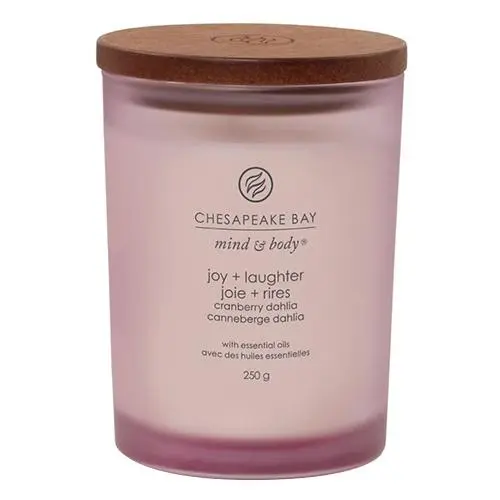 Vonná svíčka CHESAPEAKE BAY CANDLE Joy & Laughter 250g