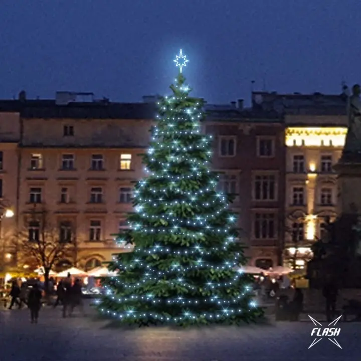DLED TFS301 LED světelná sada na stromy vysoké 9-11m, ledová bílá s Flash