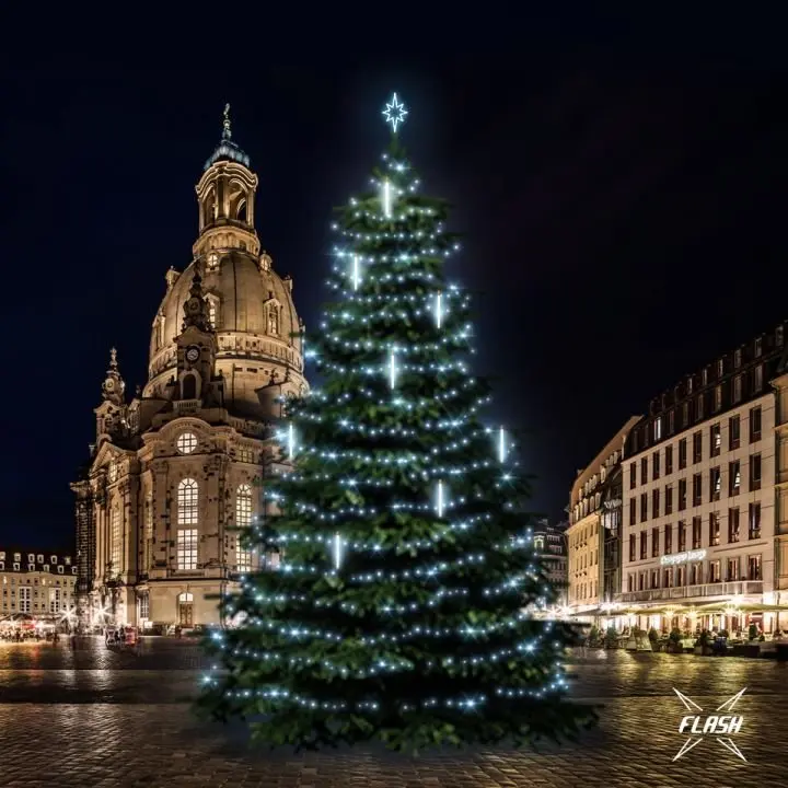 DLED TFS6031 LED světelná sada na stromy vysoké 18-20m, ledová bílá s Flash, s padajícím sněhem
