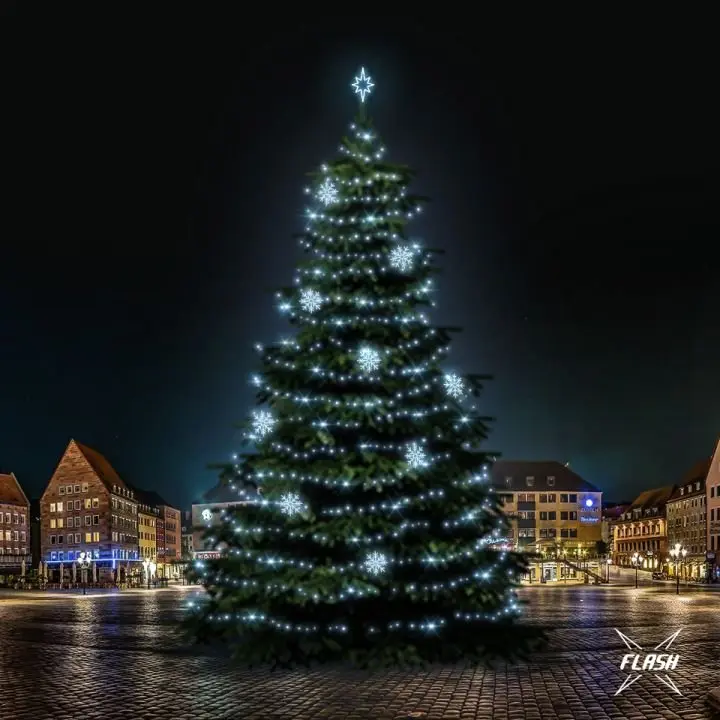 DLED TFS7023 LED světelná sada na stromy vysoké 21-23m, ledová bílá s Flash, dekory 8EFD08