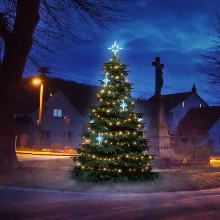DLED TRS1021A LED světelná sada na stromy vysoké 3-5m, teplá bílá s ledově bílými dekory EFD15S1