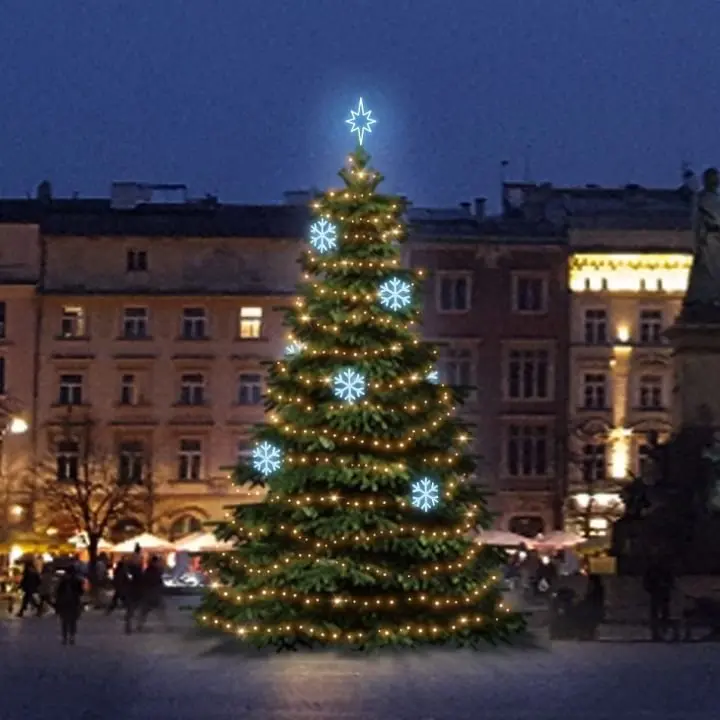 DLED TRS2021A LED světelná sada na stromy vysoké 6-8m, teplá bílá s ledově bílými dekory EFD01
